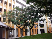 Blk 968 Hougang Avenue 9 (S)530968 #249322